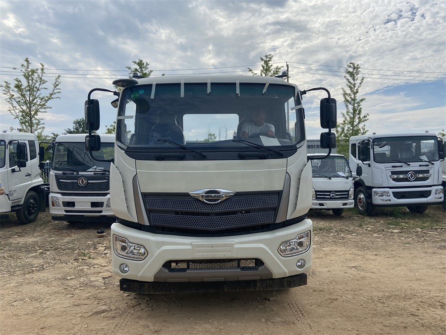 福田ES7（4500，濰柴220）國六 內(nèi)飾照片圖
